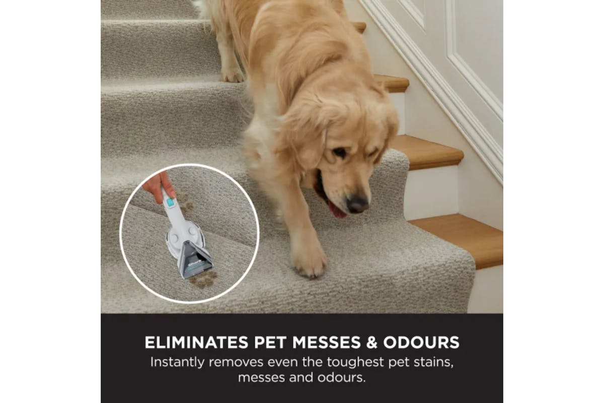 Shark StainStriker Pet Stain & Spot Cleaner | PX200UKT-4