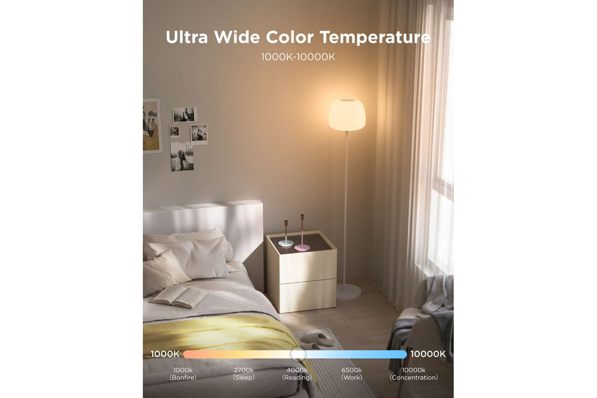 Govee Lantern Floor Lamp 160cm-4