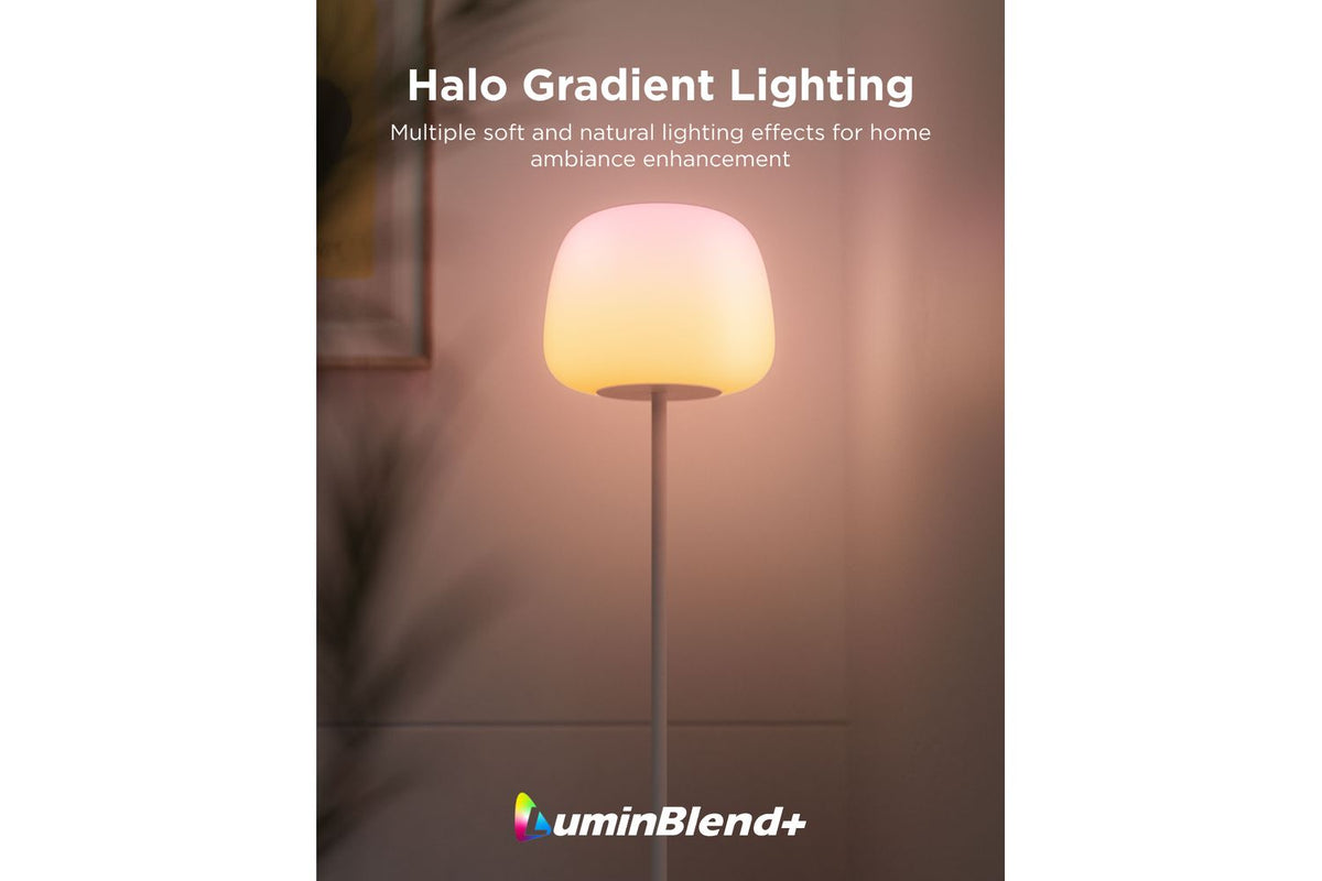 Govee Lantern Floor Lamp 160cm-2
