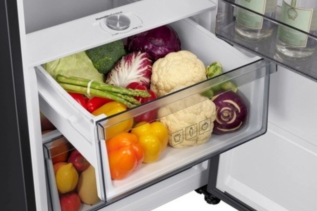 SAMSUNG 387L BLK STNLESS 1 DOOR FRIDGE|RR70H39DEFEU|Black-3