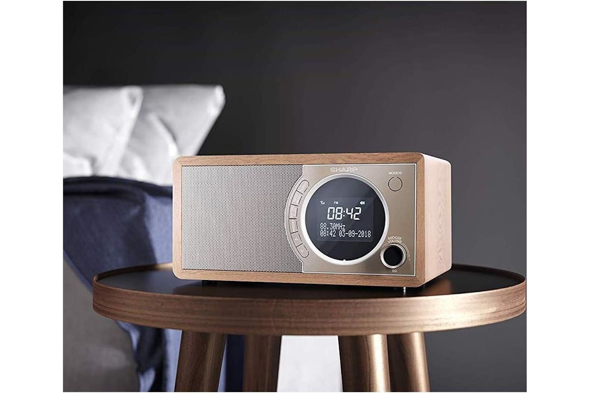 Sharp | Digital Radio | Brown | SDR-450BR-5