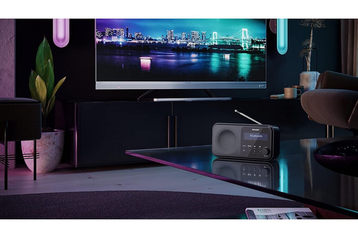 Sharp | Tokyo Portable Digital Radio | Mono Dab+/FM Audio Player | SDR-P420B-4