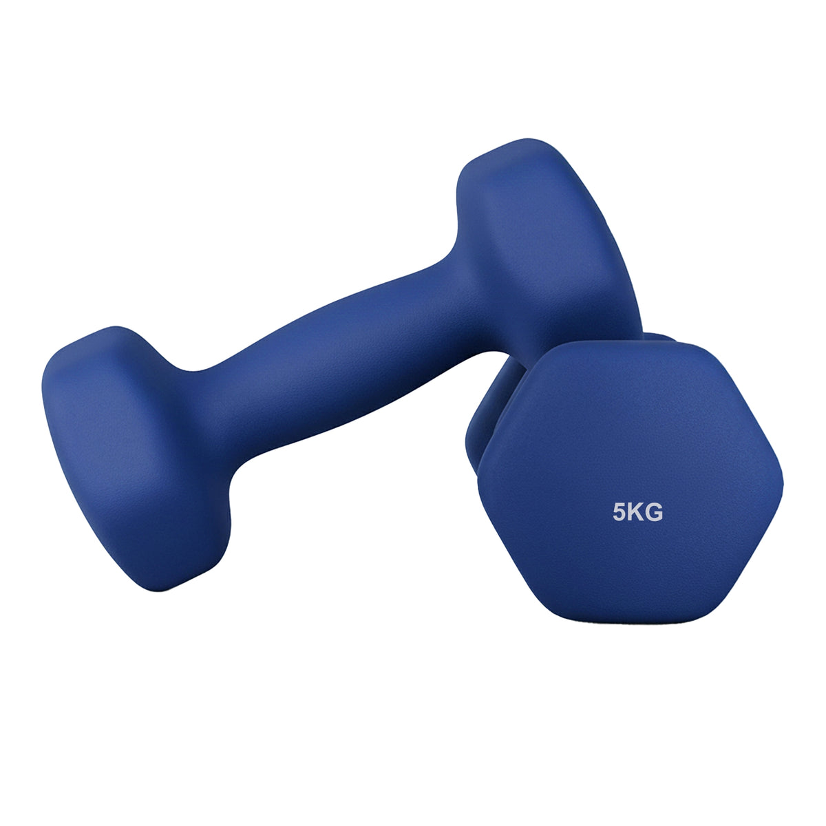 Hexagonal Dumbbells Set Of 2 | Hand Weights | Iron Pvc | 5 Kg-2