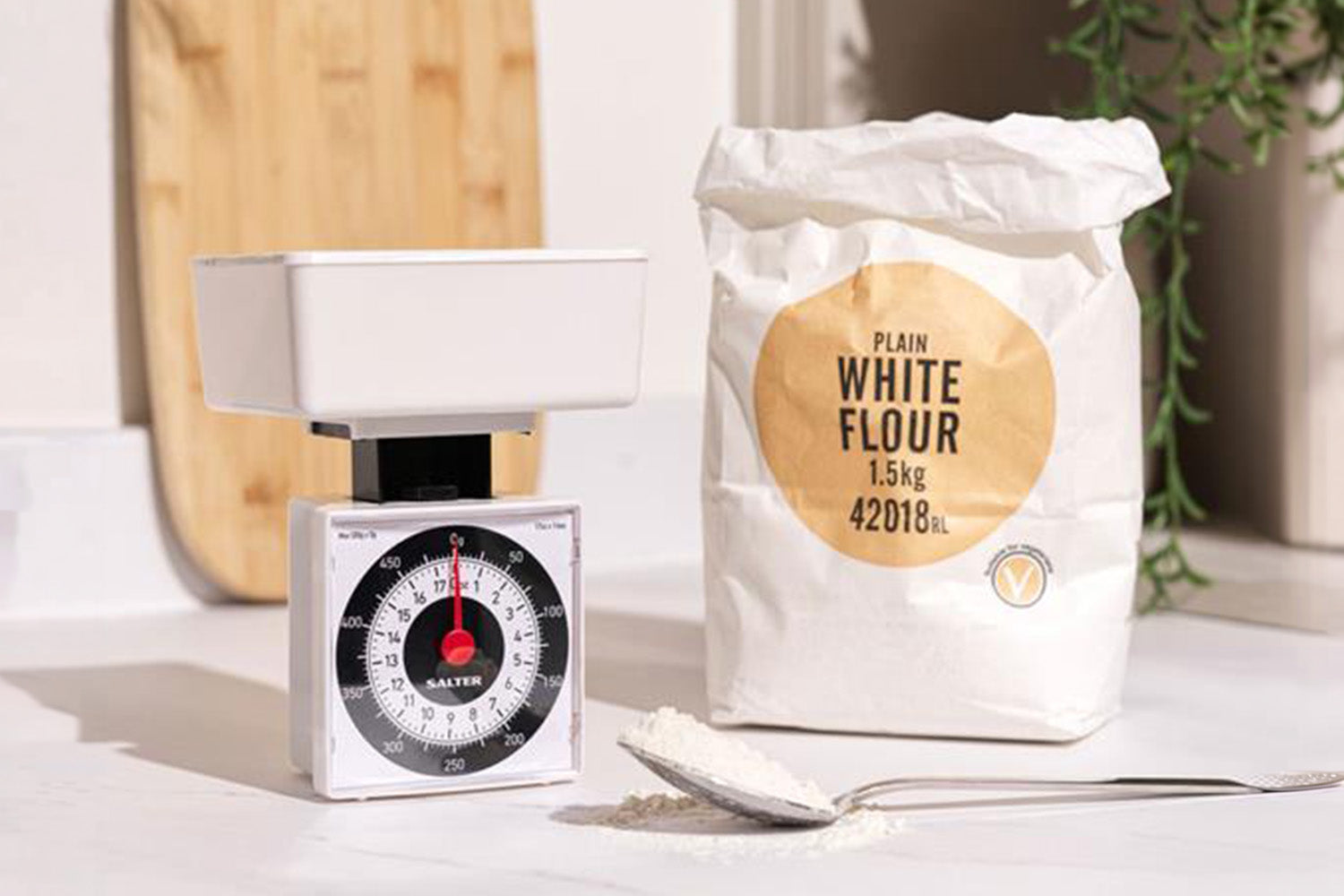 Salter | Dietary Mechanical Scale | 500g Capacity-2
