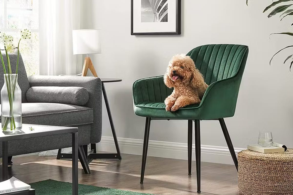 Songmics Armrests Lounge Dining Chairs | Green-2