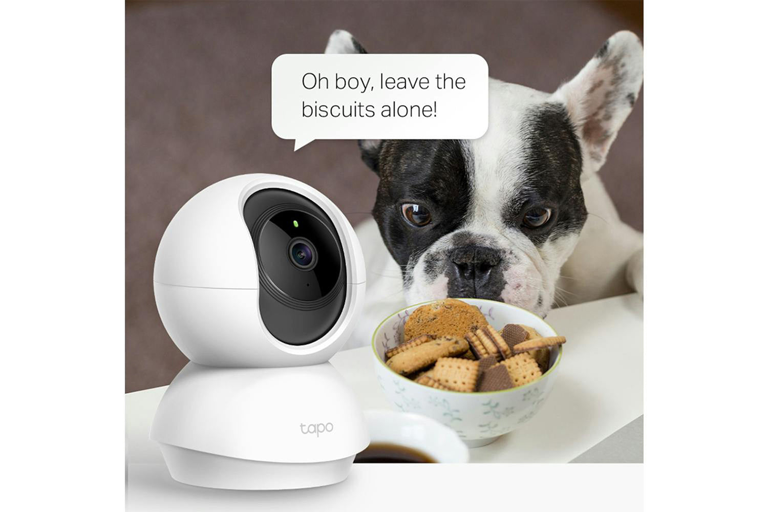 TP-Link Tapo Pan/Tilt Home Security Wi-Fi Camera | White-2
