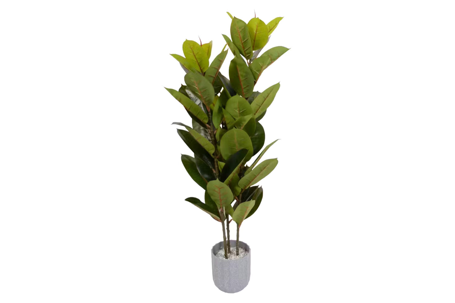 Artificial Rubber Tree | 120 cm