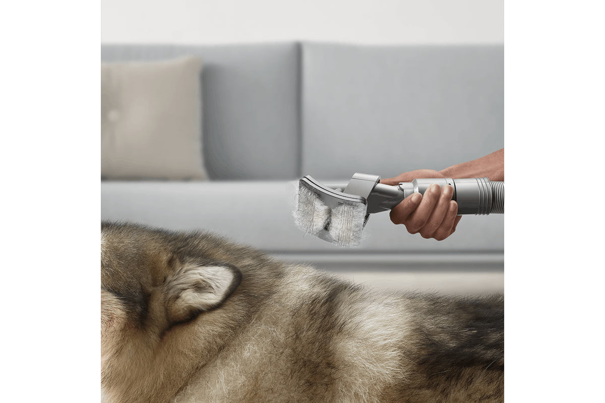 Dyson Pet Grooming Kit | 972205-01-6