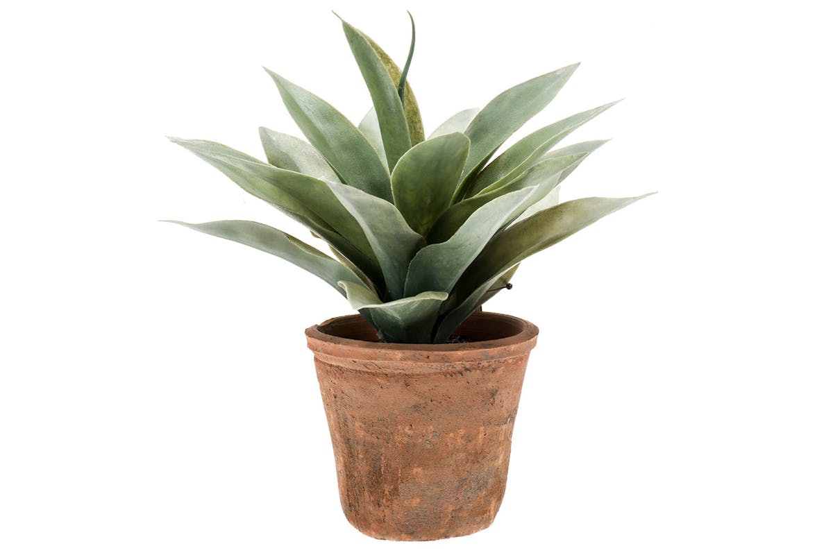 Artificial Agave Plant in Terracotta Pot | 19 cm