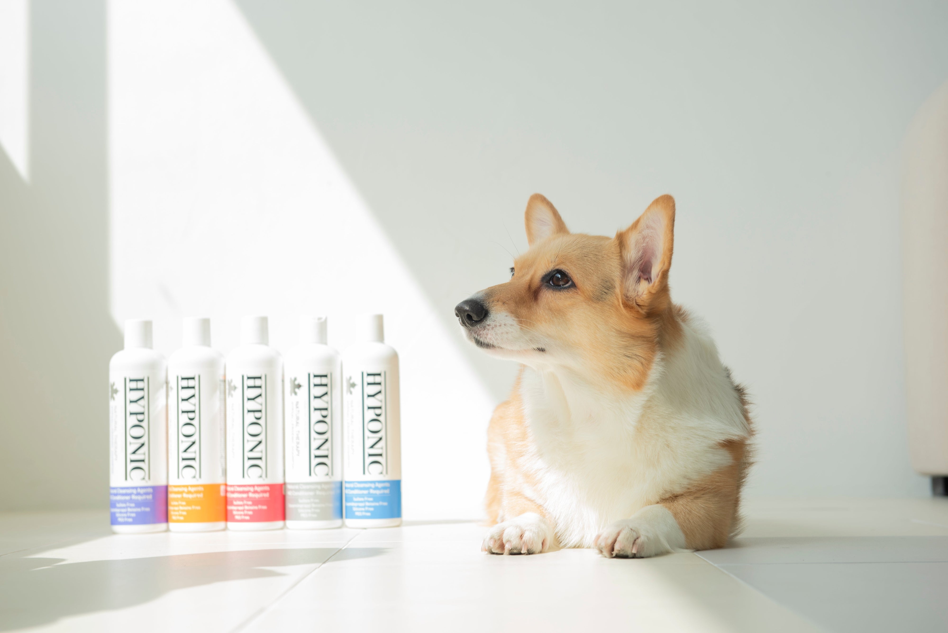 Hyponic Hypoallergenic Shampoo | Unscented | Pet Grooming And Hygiene-3
