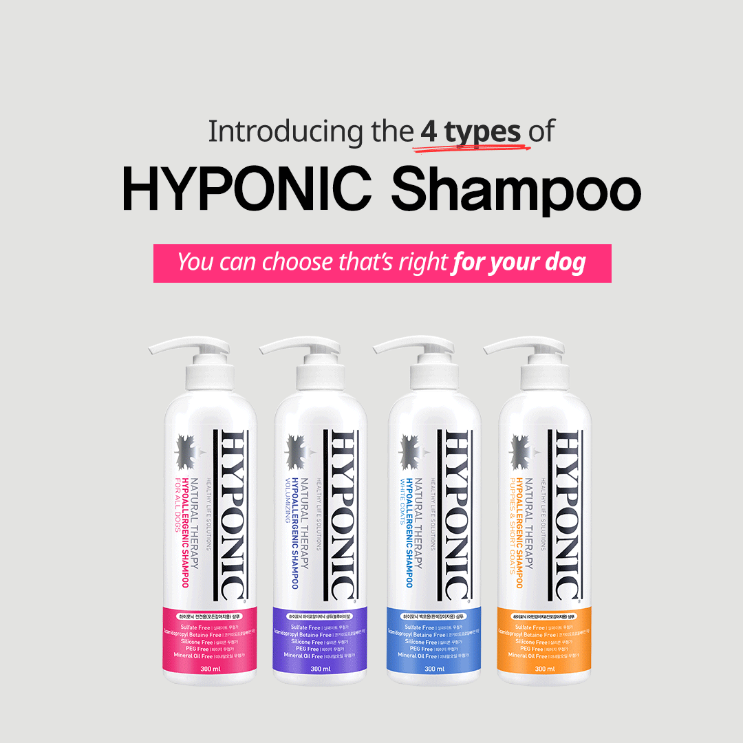 Hyponic Hypoallergenic Shampoo | White Coats Dog Shampoo | 100% Natural-3