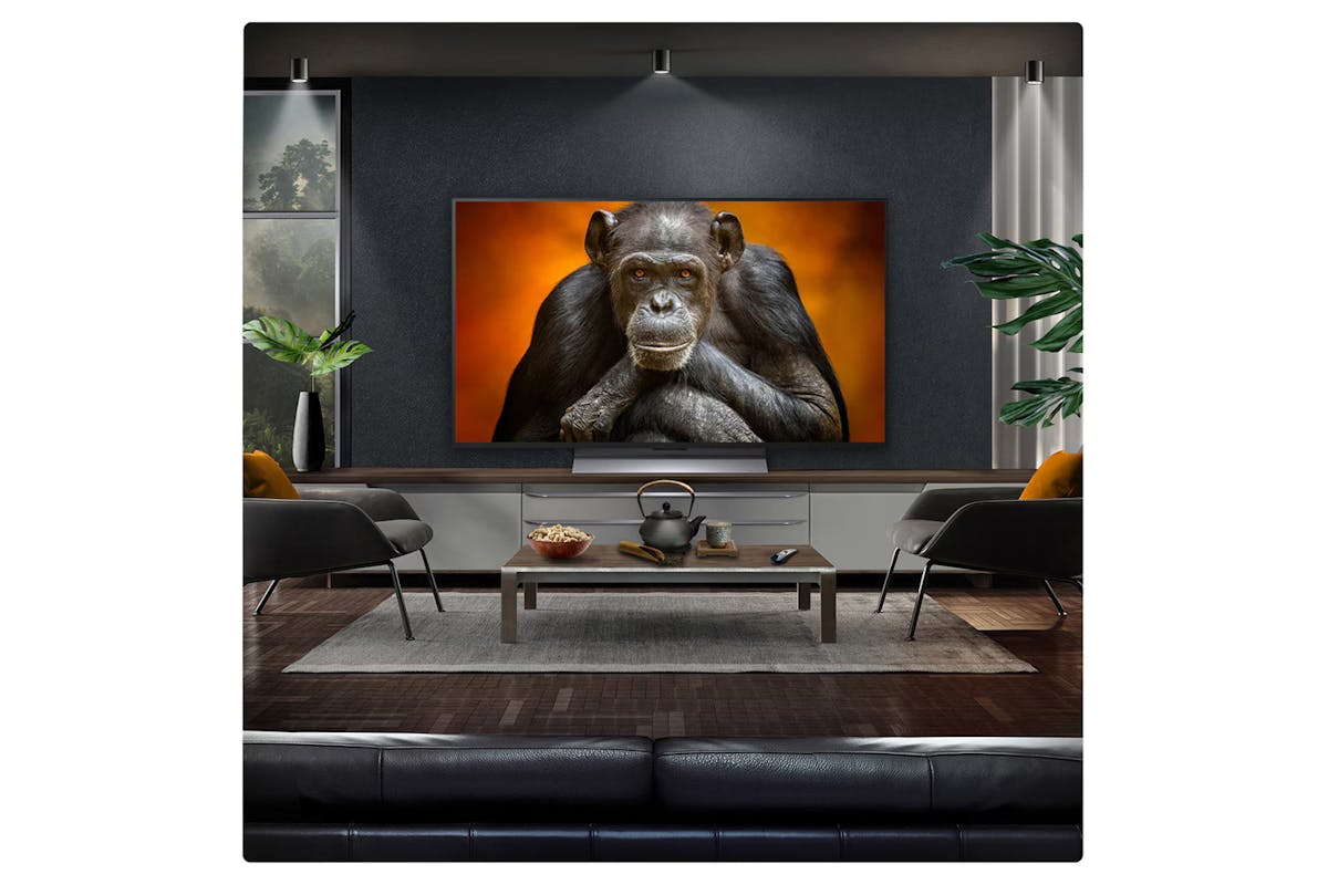 LG 48" OLED Evo AI G5 4K Smart TV | OLED48G56LS.AEK-9